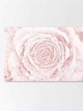 Oliver Gal Winter Rose Wall Canvas